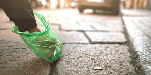 Picking up dog poop in bag on street