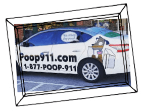 POOP 911 Pooper Scooper Service Vehicle Portland South Oregon